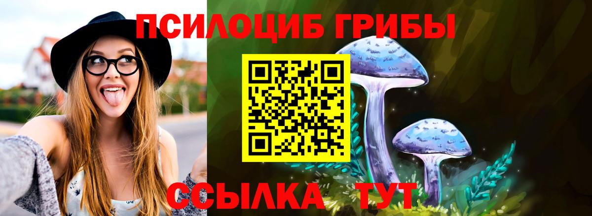 купить закладку  Псилоцибиновые грибы Psilocybine cubensis  Вход с VPN  Псилоцибиновые грибы Psilocybine cubensis  Волжск 